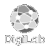 logo-digilab-NB-03
